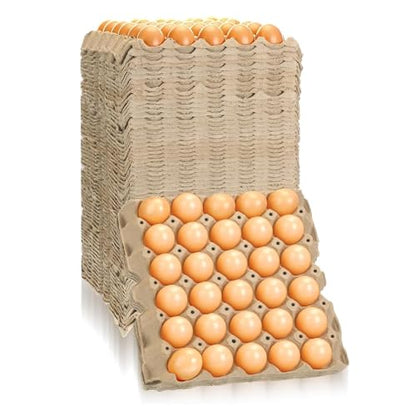 Economy Egg Cartons Bulk - 30 Cell Pulp Fiber Egg Flats for Chickens & Ducks - Reusable Stackable Cardboard Tray for Home Storing & Packing (65)
