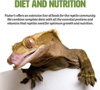 Fluker's Gourmet Canned Food for Reptiles, Fish, Birds and Small Animals, Small Dubia Roaches, 1.2 oz - size: 1.2 Ounce (Pack of 1), style: Small Dubia Roaches