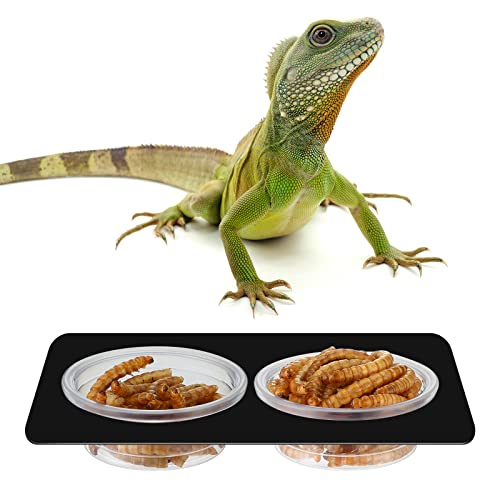 EBOOT 500 Pcs Plastic Feeder Cups - Reptile Water & Food Bowls for Gecko, Lizards, Tarantula & Other Small Pets (0.5oz)