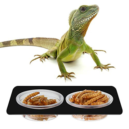 EBOOT 500 Pcs Plastic Feeder Cups - Reptile Water & Food Bowls for Gecko, Lizards, Tarantula & Other Small Pets (0.5oz)
