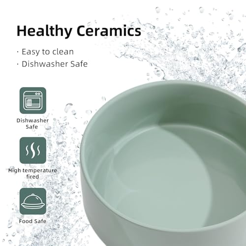 Havniva Raised Cat Bowl 5.1” Elevated Ceramic Cat Food and Water Bowl | Cat Bowls Elevated, Whisker Friendly Cat Bowl, Non-Slip Wood Stand, Food-Grade Ceramic, Wide Opening, Dishwasher Safe - color: Light Green, size: Bowl+Tray - 5.1"