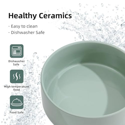 Havniva Raised Cat Bowl 6.1” Elevated Ceramic Cat Food and Water Bowl | Cat Bowls Elevated, Whisker Friendly Cat Bowl, Non-Slip Wood Stand, Food-Grade Ceramic, Wide Opening, Dishwasher Safe - color: Light Green, size: Bowl+Tray - 6.1"