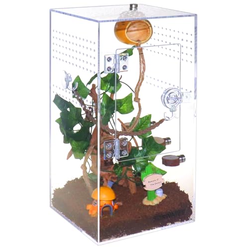 Spider Terrarium Kit, Jumping Spider Enclosure with Hideout, Rope Bridge, Ledge Ladder, Micro Habitat Terrarium for Small Tree Dwelling Reptiles, Arboreal Tarantula Enclosure (6x6x12 Inches) - size: 6x6x12 Inches