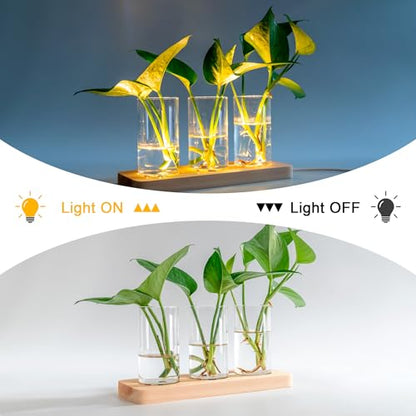 3 Pcs Plant Propagation Terrarium with Wooden Stand | 6 Pcs Wireless LED Light, Desktop Glass Planter Station, Water Planting Glass Vase, Hydroponic Plants, DIY Centerpiece Decor