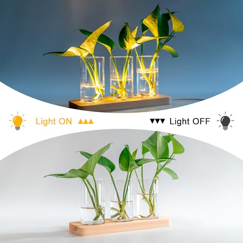 3 Pcs Plant Propagation Terrarium with Wooden Stand | 6 Pcs Wireless LED Light, Desktop Glass Planter Station, Water Planting Glass Vase, Hydroponic Plants, DIY Centerpiece Decor