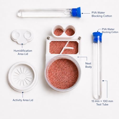 Beginner Ant Nest with Foraging Area and Humidity Zone, Dry Wet Separation Plaster Chamber, Fits 15mm Test Tubes, for Small to Medium Ant Colonies