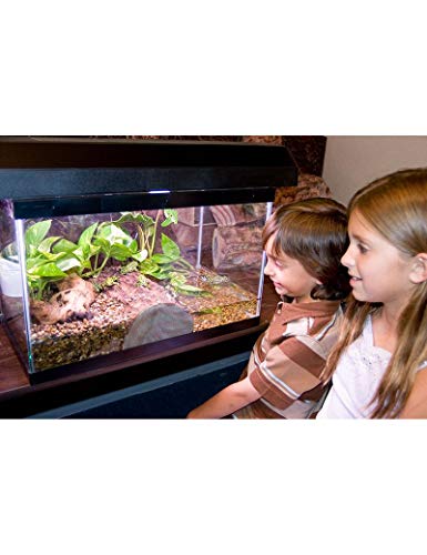 T-Rex Reptile Terrarium Decor - Log Landing - 10 Gallon Basking Area