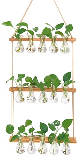 XXXFLOWER Wall Hanging Propagation Station 5 Bulb Vase 3 Tiers | Hanging Plant Holder Wall Hanging Planters for Indoor Plants, Wall Decor for Living Room Office - size: Natural-15 Bulb Vase