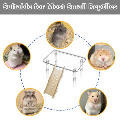 Hamster Platform Acrylic Small Animal Play Activity Resting Stand Climbing Cage Toy with Ladder for Dwarf Syrian Hamsters Gerbils Mice Sugar Glider - color: Transparent(1PCS)