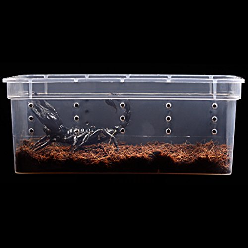 Breeding Box 5pcs, Petforu Worm Dish Reptile Feeding Box Food Container Small Size (Transparent White S)