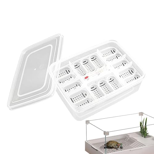 Reptile Egg Incubator Tray Incubation Box Hatching Case Hatching Tray | 16 Grids Transparent Reptile Incubator for Snake Lizard Turtle Gecko Chameleon Bearded Dragon Leopard Gecko Egg Incubation - color: B