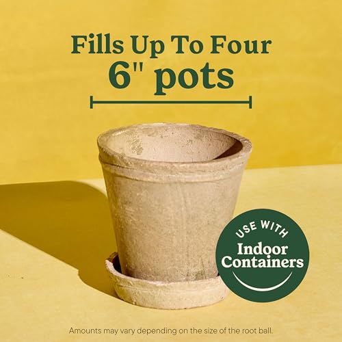 Miracle-Gro Indoor Potting Mix for All Plants, 6 qt., 2-Pack | Use with Houseplants and More, Feeds for up to 6 Months - size: 6 qt (2-Pack), style: 6 QT