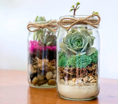 Portland Terrarium kit - DIY Mason Jar Terrarium Kit - color: Clear