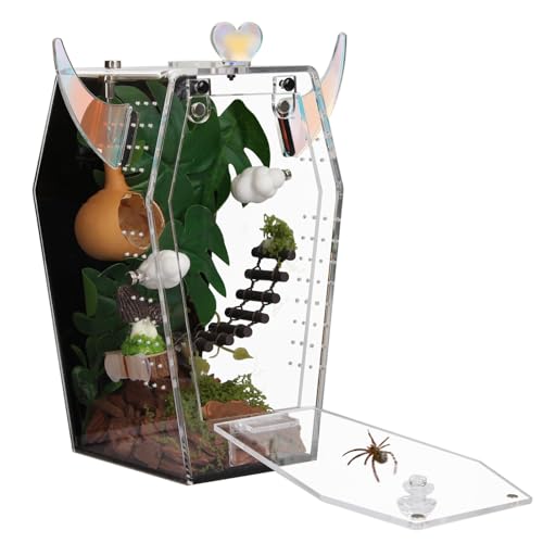 Acrylic Jumping Spider Enclosure，3mm Clear Coffin Terrarium with Magnetic Door & Feeding Hole, Secure Habitat for Jumping Spiders, Mantis, Small Tarantulas