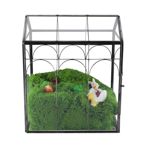 Geometric Plant Terrarium with Lid (Black with Side Door) | House Succulent Terrarium Kit for Succulents Cacti Snail, Home Tabletop Miniature Terrarium - color: Black with side door