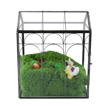 Geometric Plant Terrarium with Lid (Black with Side Door) | House Succulent Terrarium Kit for Succulents Cacti Snail, Home Tabletop Miniature Terrarium - color: Black with side door