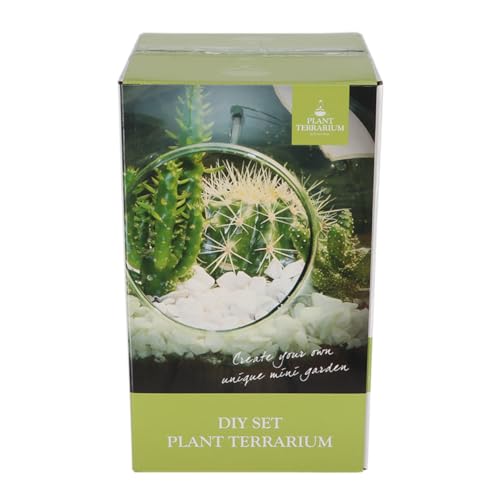 eeschert Design - 3 Litre DIY Plant Terrarium