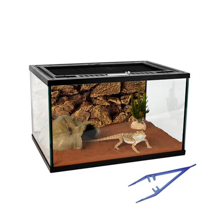 Reptile Glass Tank 16"x11"x9" Terrarium with Top Opening and Screen Ventilation for Leopard Gecko,Lizard,Hermit Crab,Snake,Spider,Frog,Bearded Dragon,Turtle with Feeding Tongs - size: 16*11*9inch