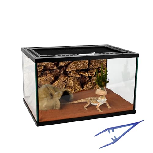 Reptile Glass Tank 16"x11"x9" Terrarium with Top Opening and Screen Ventilation for Leopard Gecko,Lizard,Hermit Crab,Snake,Spider,Frog,Bearded Dragon,Turtle with Feeding Tongs - size: 16*11*9inch