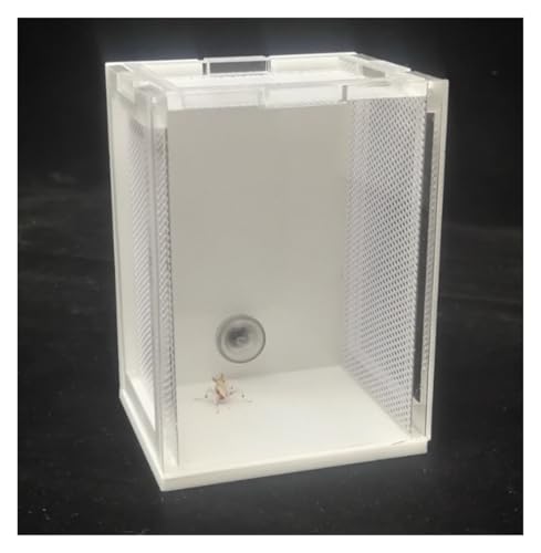 Reptile Breeding Box Acrylic Reptile Breeding Box Insect Incubator for Orchid Mantis Faunarium