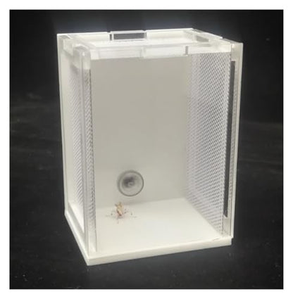 Reptile Breeding Box Acrylic Reptile Breeding Box Insect Incubator for Orchid Mantis Faunarium