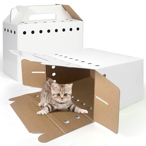 Disposable Cardboard Pet Carrier for Small Animals-12 Pack