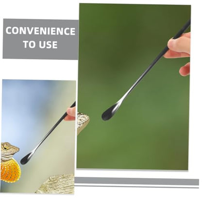 SUPVOX 3pcs Sturdy Stainless Steel Lizard Food Spoon Reptile Feeding Tool for Crested Gecko Food - color: Black