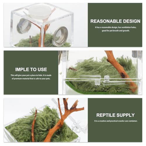 ibasenice Jumping Spider Cage 1.5In Clear Acrylic Escape-Proof Feeding Box with Built-in Lamp for Night Viewing – Mini Terrarium for Jumping Spiders & Small Arachnids - color: Multi
