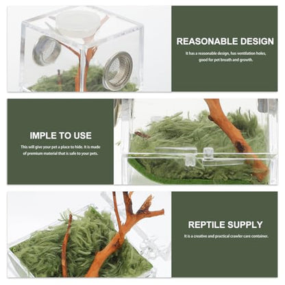 ibasenice Jumping Spider Cage 1.5In Clear Acrylic Escape-Proof Feeding Box with Built-in Lamp for Night Viewing – Mini Terrarium for Jumping Spiders & Small Arachnids - color: Multi