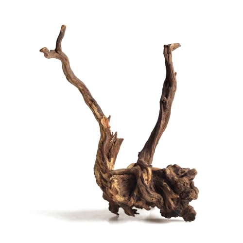 emours Natural Aquarium Driftwood, Upright Root Style Wood for Fish Tank Decor, Unique Driftwood for Aquascape, Terrarium and Reptile Display, 1 Piece (12-16" (30-40 cm)) - size: 12-16" (30-40 cm)
