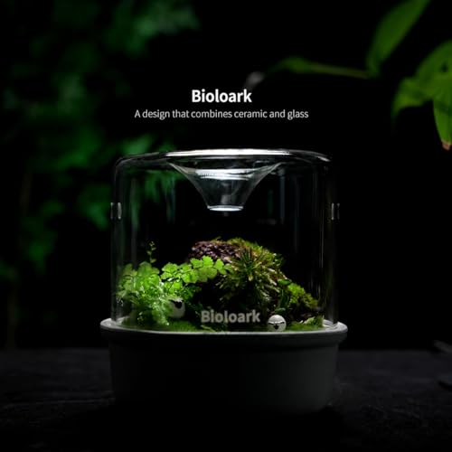 Bioloark MY-150K Glass Plant Terrarium with Ceramic Base, 6.4” x 6.7” White, Moss Terrarium Container with Clear Glass Cover, Ventilation Holes, Moisture Cycle Lid for Ferns, Succulents & Small Plants - color: MY-150K (6.4 "X6.7")White