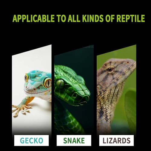 16 Grids Reptile Breeding Box, Professional Reptile Egg Incubation Box for Breeding and Hatching