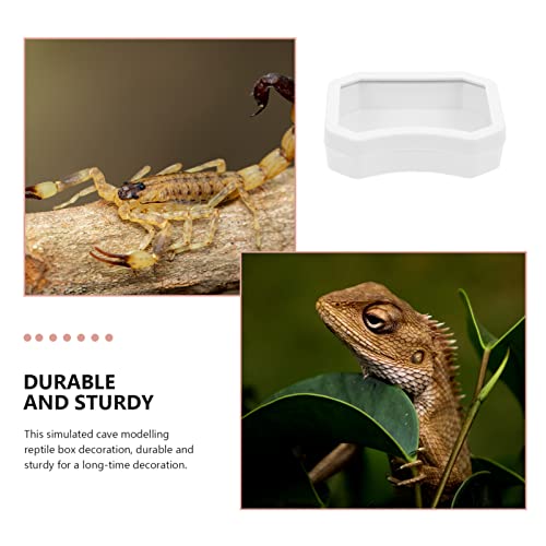 Crawling Toys Reptile Food Bowl Worm Dish: 10PCS Mini Plastic Reptile Water Feeder Bowl for Lizard Turtle Bearded Dragon Anoles Crested Gecko Hermit Black Accessories