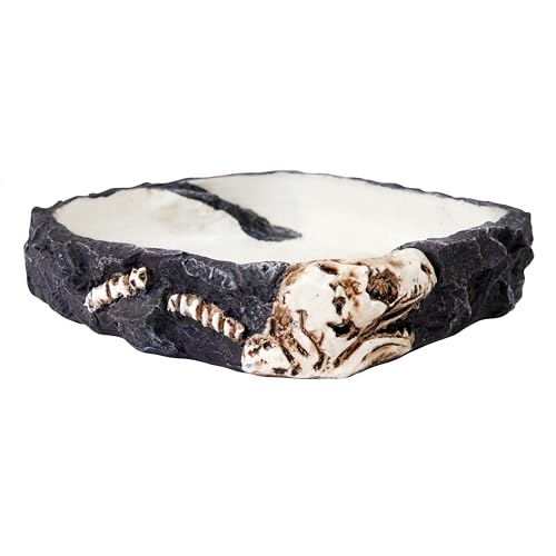 PENN-PLAX Reptology Reptile Fossil Rock Food/Water Dish – Perfect for Bearded Dragons, Geckos, Chameleons, Snakes, Hermit Crabs, and Many More – Large - size: Large