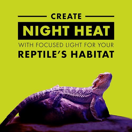 Zilla Incandescent Spot Bulb, for Nocturnal Reptile Species, Night Black - size: Pack of 1, style: Night Black (50W)