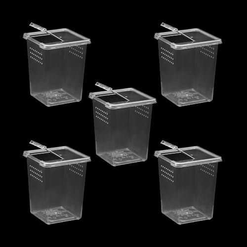 5 Pcs Spider Terrariums Breeding Box, Tall Insect Hatching Container Plastic Feeding Box for Arboreal Small Reptiles Jumping Spider Scorpion Centipede Insect