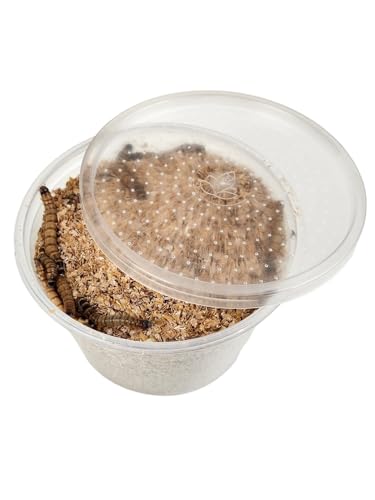 Josh's Frogs Superworms (100 Count) - size: 1 Count (Pack of 100)