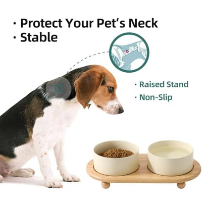 Havniva Raised Cat Bowl, 6.1” Elevated Ceramic Cat Food and Water Bowl Set | Cat Bowls Elevated, Whisker Friendly Cat Bowl, Non-Slip Wood Stand, Food-Grade Ceramic, Wide Opening, Dishwasher Safe - color: Light Yellow, size: 2 Bowls+Tray - 6.1"