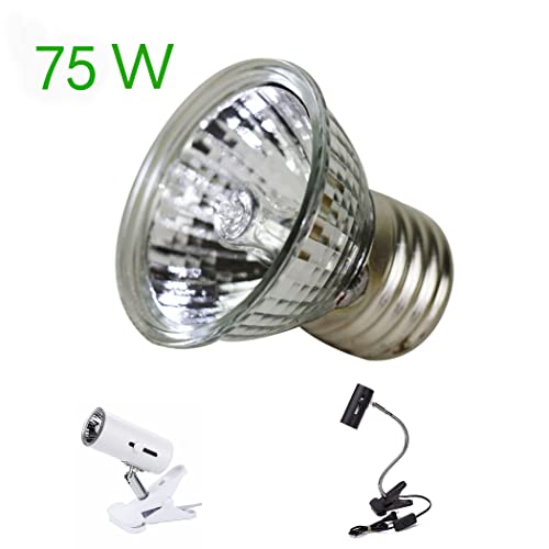 CALPALMY 4-Pack 75W UVA+UVB Bulbs | Heat and Light for Reptiles and Amphibian Tanks, Terrariums and Cages | Works with Various Lamp Fixtures