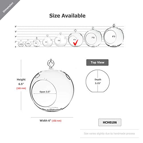 WGVI WGV Hanging Terrarium Globe, Width 6", Height 6.5", DIY Air Succulent Planter, Clear Glass Vase Orb with Flat Bottom, Candle Holder for Windowsill Outdoor Garden Decor, 1 Piece - size: 6" Flat Bottom