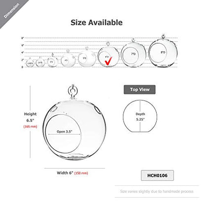WGVI WGV Hanging Terrarium Globe, Width 6", Height 6.5", DIY Air Succulent Planter, Clear Glass Vase Orb with Flat Bottom, Candle Holder for Windowsill Outdoor Garden Decor, 1 Piece - size: 6" Flat Bottom