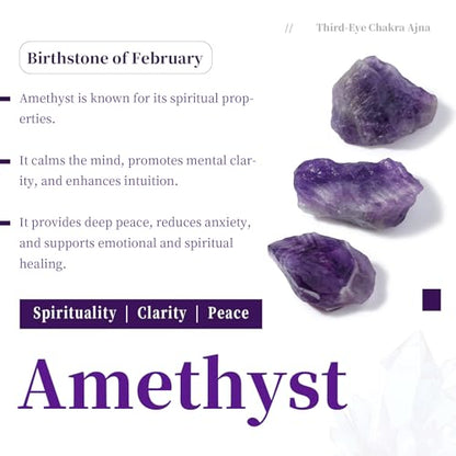 SUNYIK 1LB Natural Raw Amethyst Stones Rock for Tumbling Cabbing | Irregular Healing Crystal Rock Stones for Aquarium, Terrarium Fish Tank, Fountain Rocks, Jewelry Making, Rock Collections - color: Amethyst(1"-2.5")