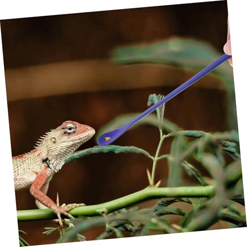 SUPVOX 2pcs Reptile Feeding Spoon Ergonomic Handle Pet Food Scoop for Lizards and Small Animals Safe Stainless Steel Convenient Design for Easy Feeding
