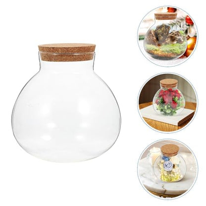 Glass Terrarium Jar with Cork Lid for Micro Landscape Plants, 13cm Round Ecosystem Bottle Suitable for Succulent, Moss, and Desk Display