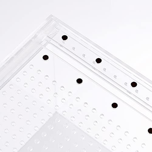 NANEEZOO Magnetic Enclosure for Spider, 12 x 8 x 6 Inch Reptile Breeding Box Terrarium Cage for Insect Tarantulas Amphibians Caterpillars Snail Clear Reptile Feeding Box