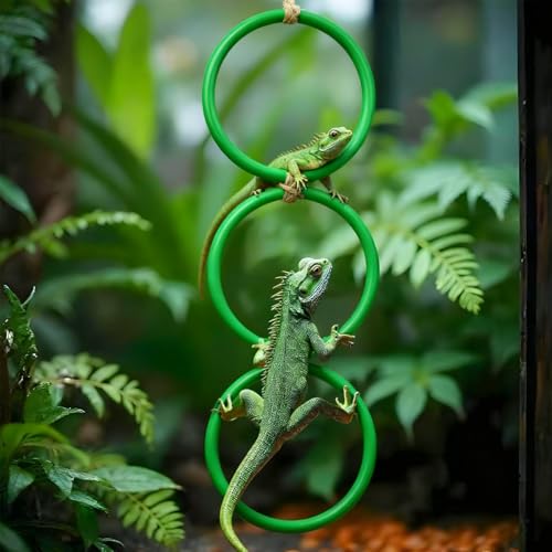 Snake Climbing Rings for Ball Python Corn Snake, Reptile Enrichment Toys for Snake, Ball Python Tank Decor, Reptile Tank Accessories for Bearded Dragon,Lizard,Swing Climbing Hoop Chain(Green)