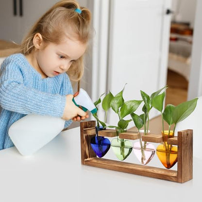 Plant Propagation Stations Heart Plant Terrarium Kit | Gift for Women Plant Lover Glass Vases - color: Color02