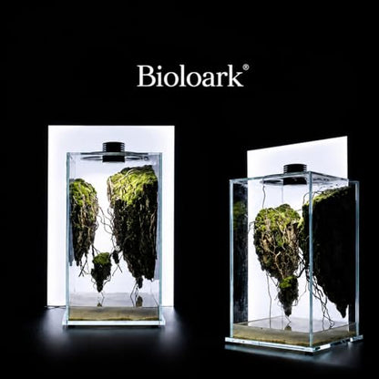 Bioloark BIO Bottle Large Glass Terrarium with LED Grow Light, Professional Tall Moss Terrarium with Adjustable Ventilation, Low-Iron Glass for Moss, Succulents FD-250 (10.6" x 10.6" x 20") - color: FD-250 (10.6"X10.6"X20")