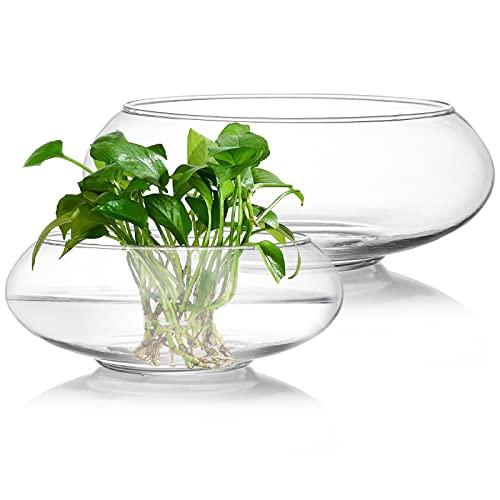 2 Pack Glass Vase Bowl, 6"/ 8" Wide Mouth Flower Vase Round Terrarium, Glass Hydroponic Planter Floral Container Clear Fish Bowl for Table Centerpiece, Wedding Event, Home Decoration
