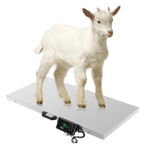 TUFFIOM 1100Lbs x 0.2Lbs Postal Digital Livestock Scale, Electronic Stainless Steel Platform Heavy Duty Vet Animal Scale,Dog Pig Goat Sheep Scale, Silvery - color: Silver